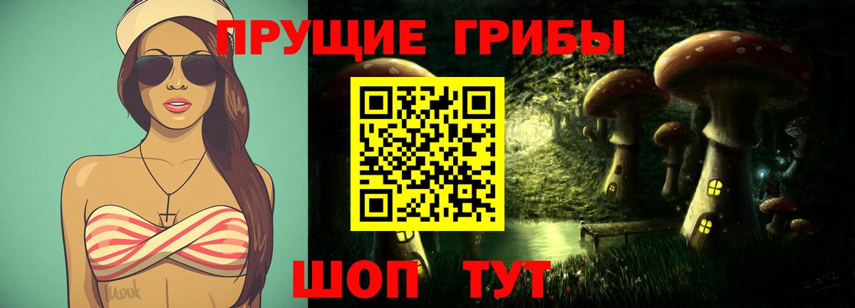 Котовск  Псилоцибиновые грибы Cubensis  Вход с VPN 